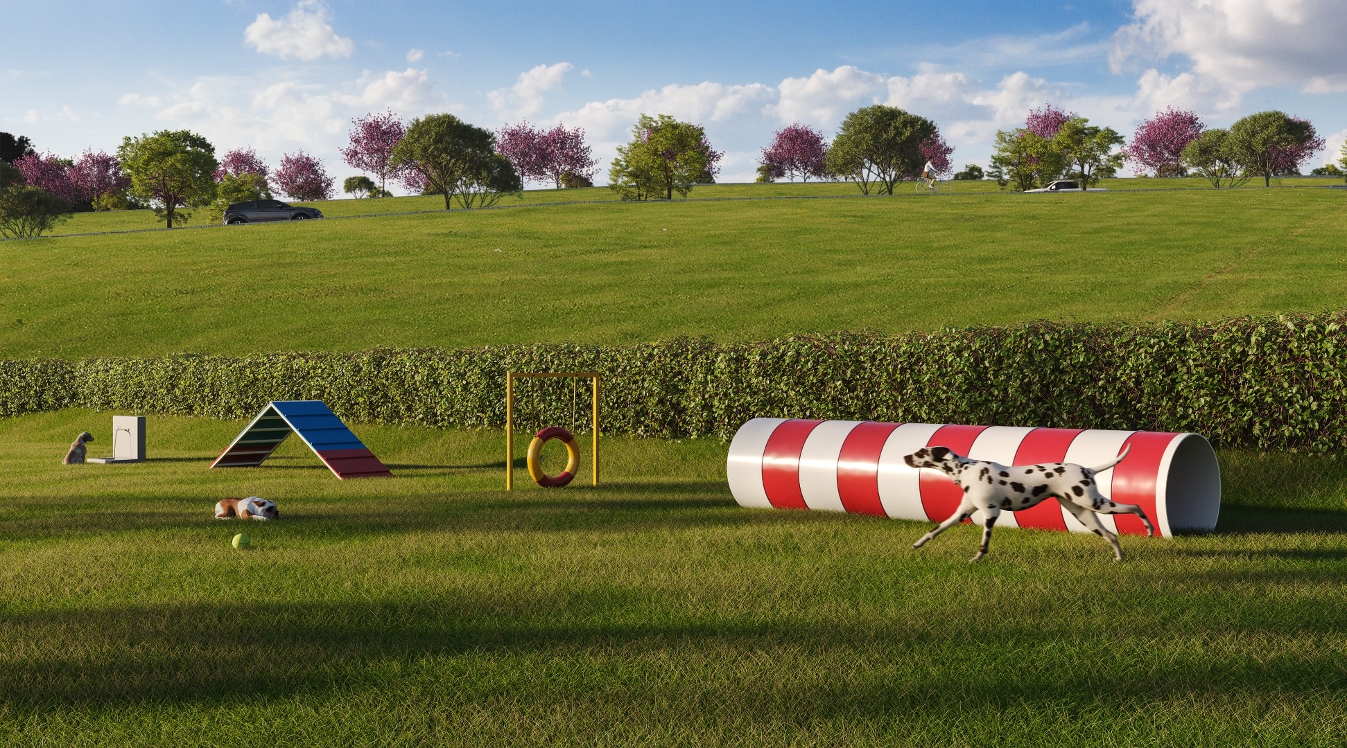 Galeria: Perspectiva ilustrada Pet space